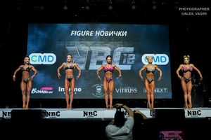 FIGURE НОВИЧКИ